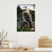 Laughing Kookaburra Poster (Keuken)