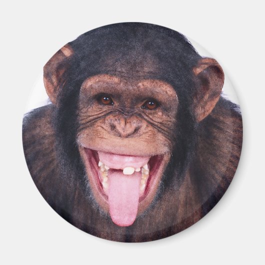 Laughing Monkey Magneet (Voorkant)