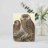 Laughing Owl Illustratie Briefkaart (Staand voorkant)