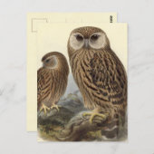 Laughing Owl Illustratie Briefkaart (Voorkant / Achterkant)