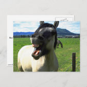Laughing paard briefkaart (Voorkant / Achterkant)