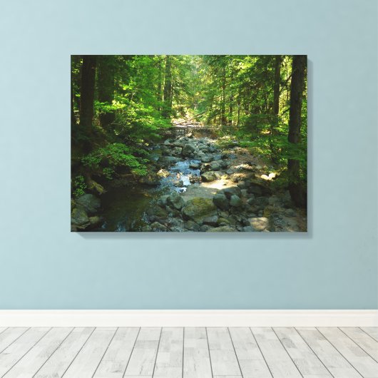 Laughingwater Creek in Mount Rainier National Park Canvas Afdruk (Insitu (Houten vloer))