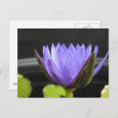 Laura Frase Briefkaart (Voorkant / Achterkant)