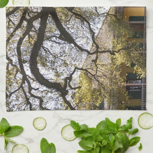 Laura Plantation, New Orlean Theedoek (Gevouwen)