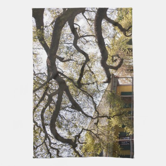 Laura Plantation, New Orlean Theedoek (Verticaal)