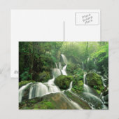 Laurel Herfsten, Tennessee Briefkaart (Voorkant / Achterkant)