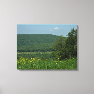 Laurel Highlands Pennsylvania Summer Photography Canvas Afdruk