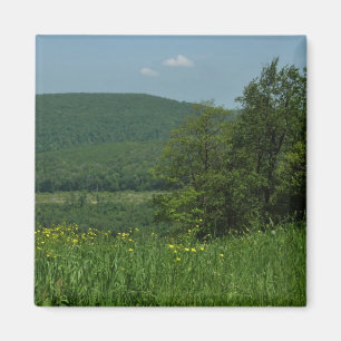 Laurel Highlands Pennsylvania Summer Photography Magneet