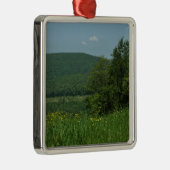 Laurel Highlands Pennsylvania Summer Photography Metalen Ornament (Rechts)