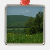Laurel Highlands Pennsylvania Summer Photography Metalen Ornament (Voorkant)