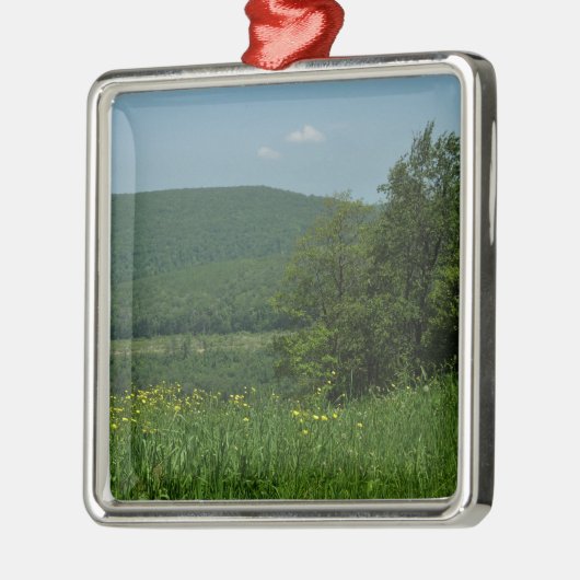 Laurel Highlands Pennsylvania Summer Photography Metalen Ornament (Links)