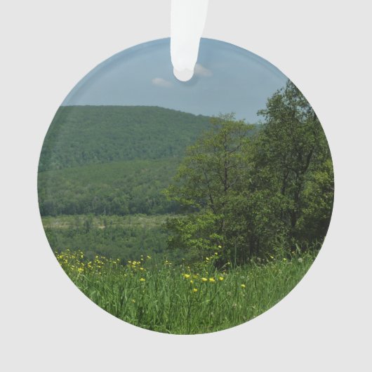 Laurel Highlands Pennsylvania Summer Photography Ornament (voorkant)