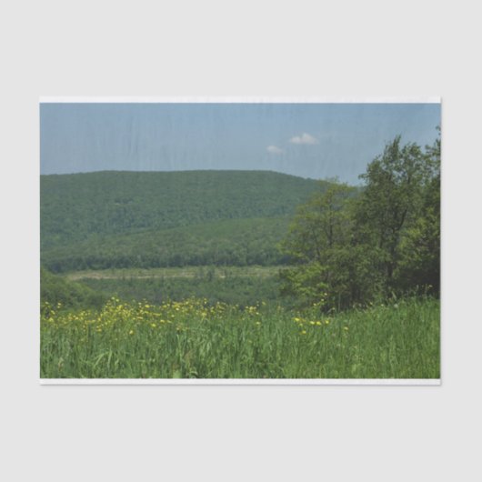 Laurel Highlands Pennsylvania Summer Photography Tissuepapier (Voorkant)