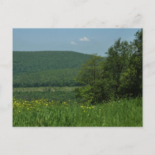 Laurel Highlands Pennsylvania Zomer Fotografie Briefkaart