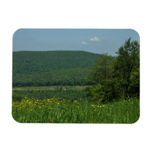 Laurel Highlands Pennsylvania Zomer Fotografie Magneet