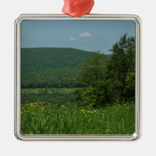 Laurel Highlands Pennsylvania Zomer Fotografie Metalen Ornament