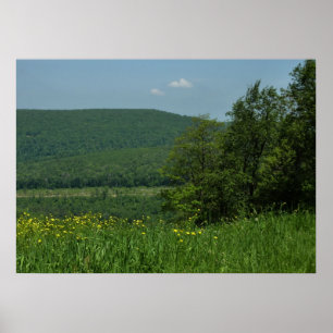 Laurel Highlands Pennsylvania Zomer Fotografie Poster