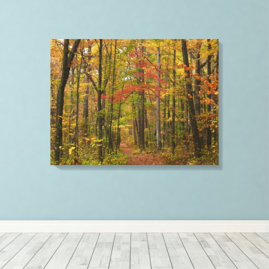 Laurel Hill Trail in Herfst Canvas Afdruk (Insitu (Houten vloer))