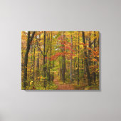 Laurel Hill Trail in Herfst Canvas Afdruk (Voorkant)