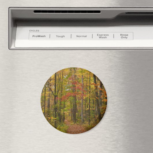 Laurel Hill Trail in Herfst Magneet (Insitu (Vaatwasser))