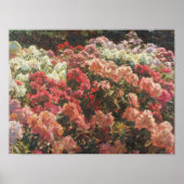 Laurits Tuxen - Rhododendron in Tuxen's tuin Poster (Voorkant)
