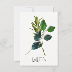 Lauro Spices Italy Chef Restaurant Organic Food Kaart