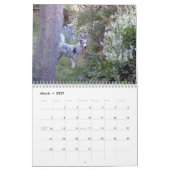 L'Australien Shepherds le calendrier 2013 (Mar 2027)