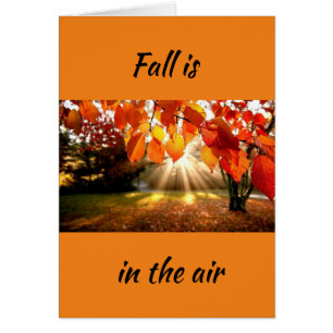 L'AUTOMNE EST DANS L'AIR/L'AMOUR EST DANS MON COEU