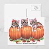 L'automne est la carte postale Meow du chat (Devant / Derrière)