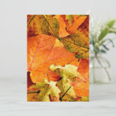 L'Automne Laisse La Carte D'Invitation. (Debout devant)