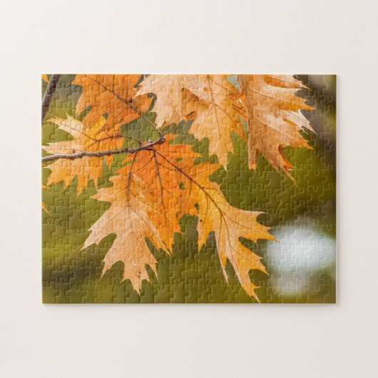 L'automne laisse un gros puzzle photo (Horizontal)