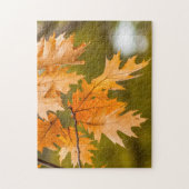 L'automne laisse un gros puzzle photo (Vertical)