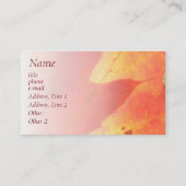 L'automne quitte les Cartes de visite (Dos)