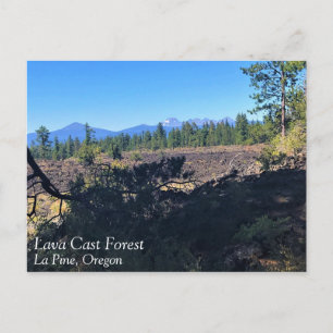 Lava Cast Forest, Oregon Briefkaart