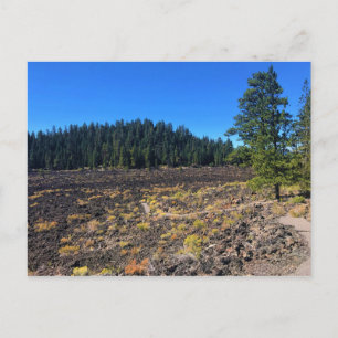 Lava Cast Forest, Oregon Briefkaart