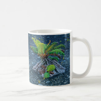 Lava Fern Mok natuur kunst schoonheid