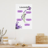 Lavanda y sus Beneficios en español Poster (Keuken)