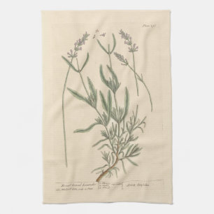 Lavande à larges feuilles par Blackwell Torchons