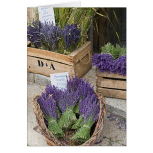Lavande à vendre, Provence, France