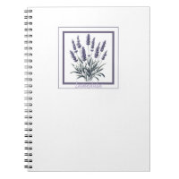 Lavande Lavandula Floral Fleur Herboriste Journal