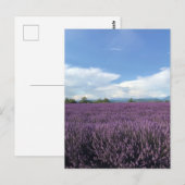 Lavande sur la Côte d'Azur France Carte postale (Devant / Derrière)