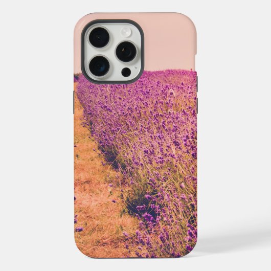 Lavander (Verso)