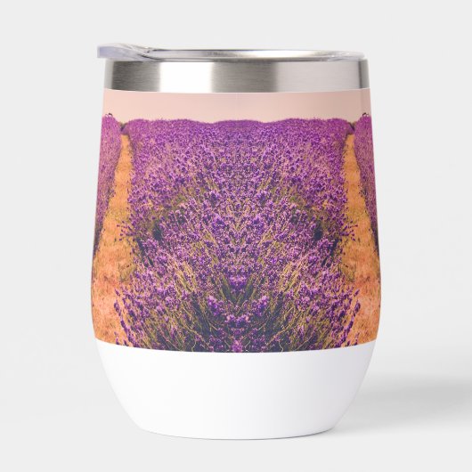 Lavander (Droite)