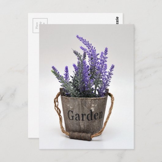 lavander briefkaart (Voorkant / Achterkant)