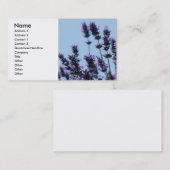 Lavander Plant Visitekaartje (Voorkant / Achterkant)