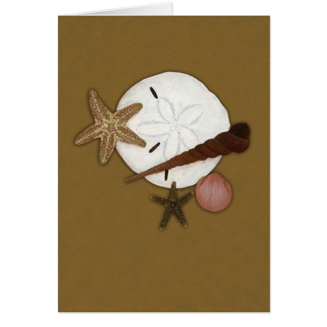 Lavé à terre cardez (Devant)