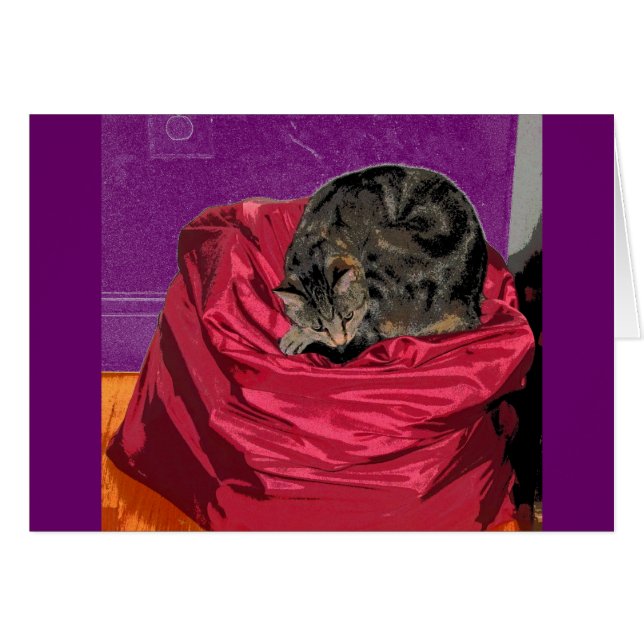 Lave-linge Indigo CB (Devant horizontal)