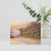 Lavendar-Briefkaart Briefkaart (Staand voorkant)