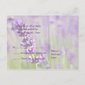 Lavendar ・ Carte postale RSVP (Dos)