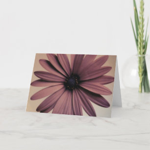 Lavendar Daisy Kaart